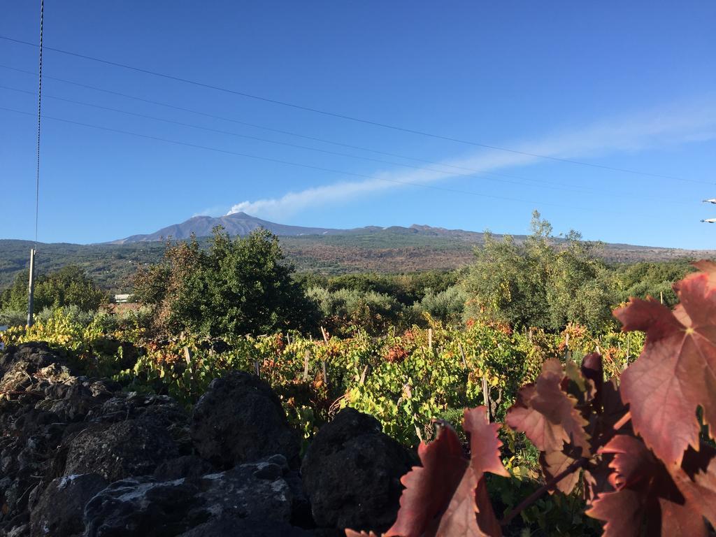 Etna Vintage Hotel Linguaglossa Luaran gambar