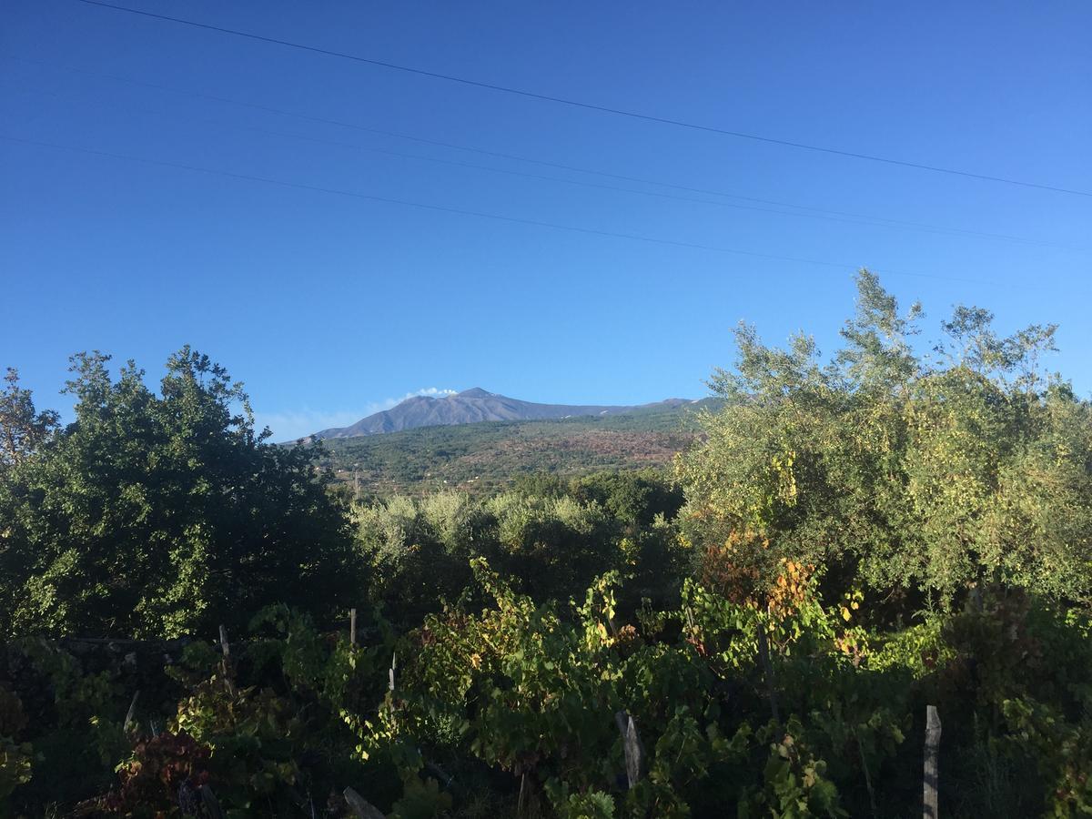 Etna Vintage Hotel Linguaglossa Luaran gambar